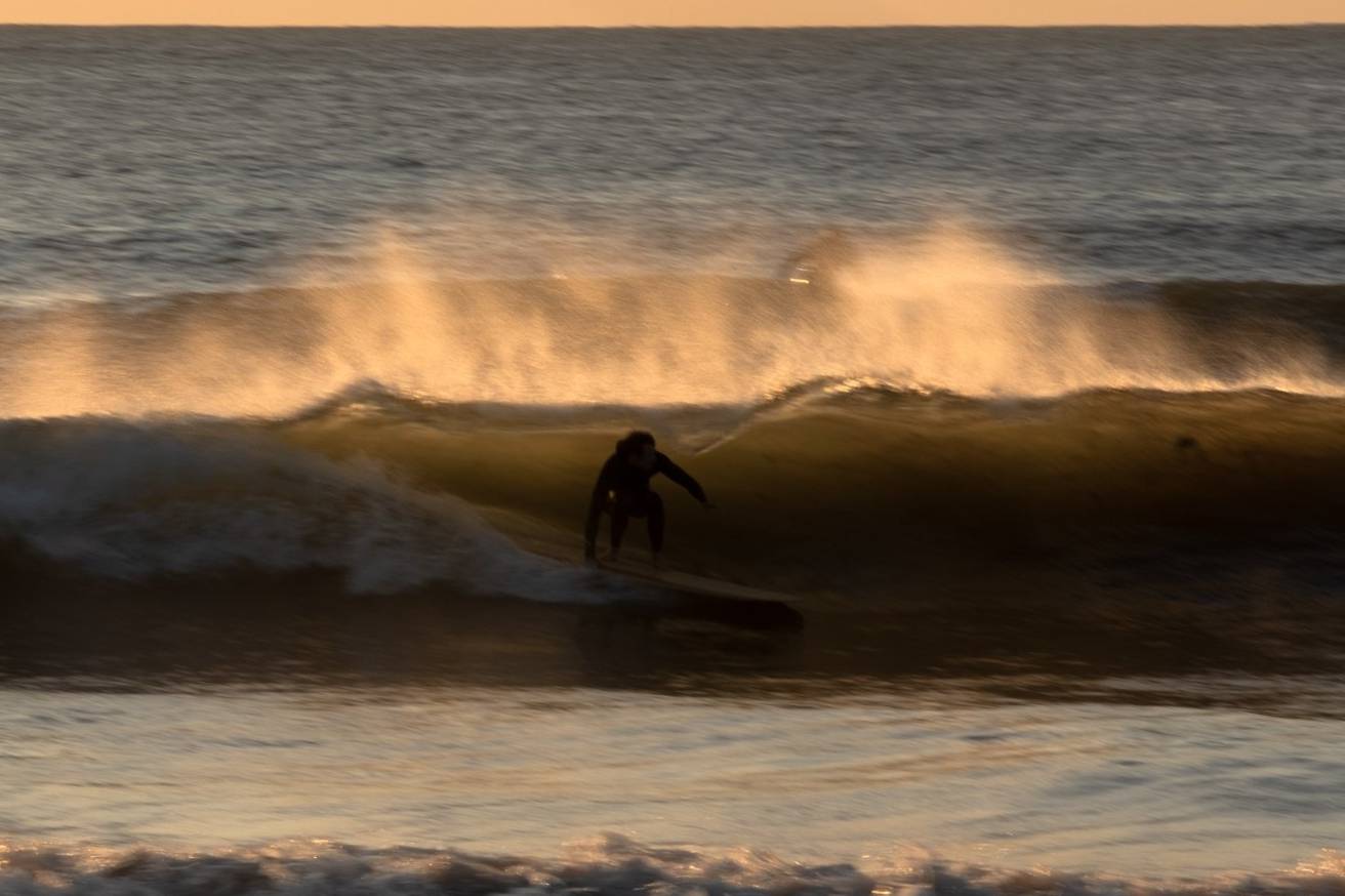 Root hollow wooden surfboard