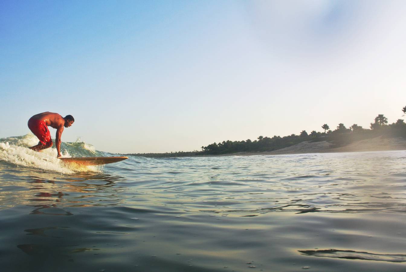 Sapling hollow wooden surfboard