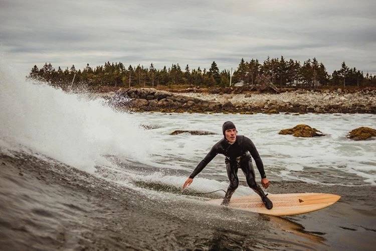 Tern hollow wooden surfboard by Grain Surfboards