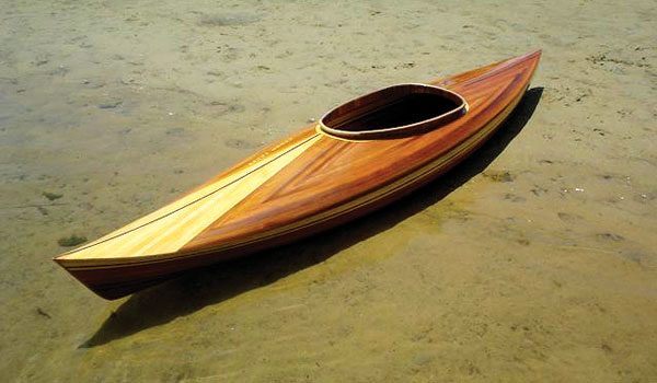 Distinctive small kayak Little Auk