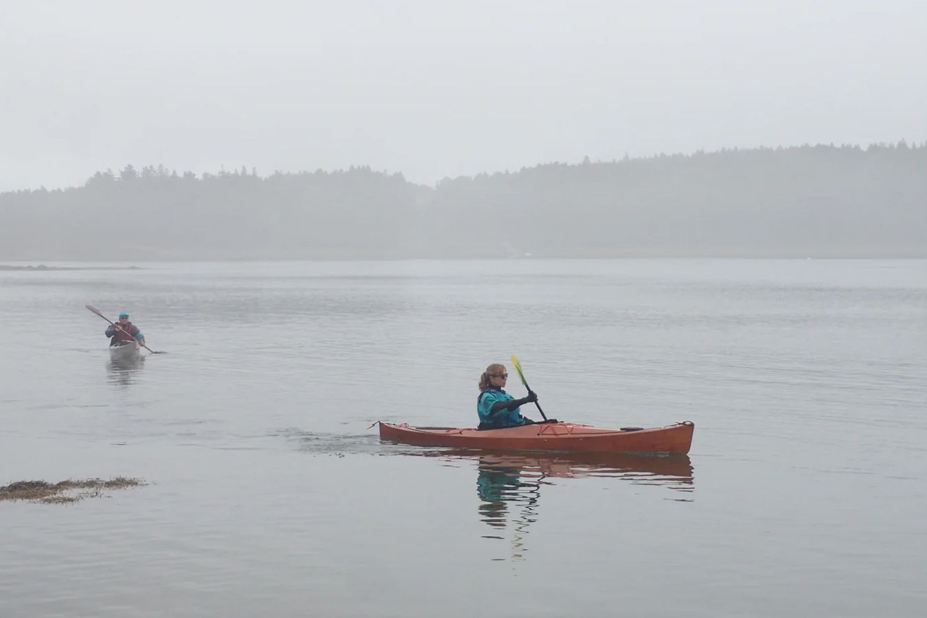 The Petrel Scout SG is a responsive and stable recreational wooden kayak