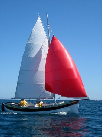 Big home-built sailing boat with a powerful rig